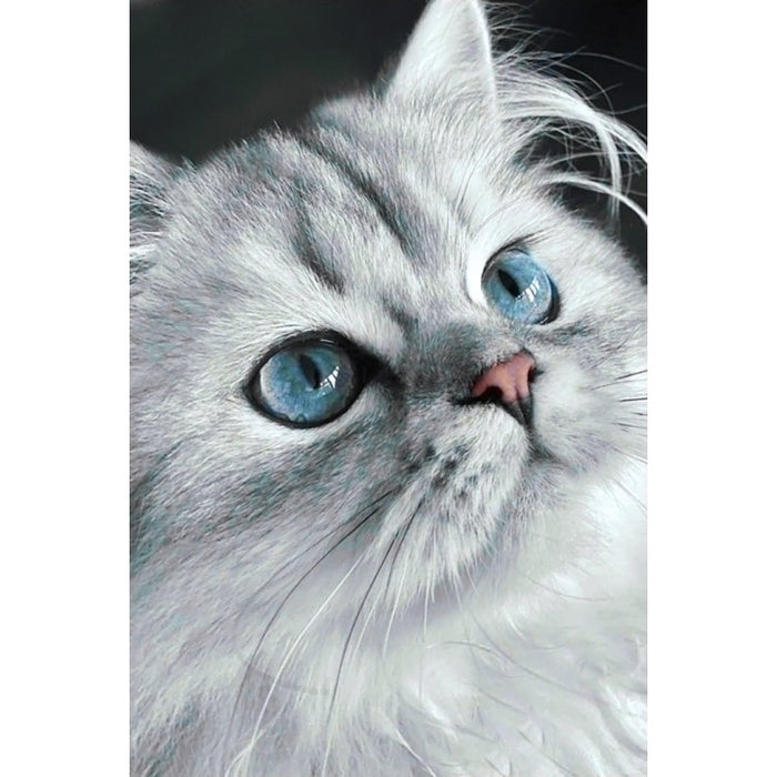 Diamond Painting Kit - CAT EYES 20*30 CM WD3003