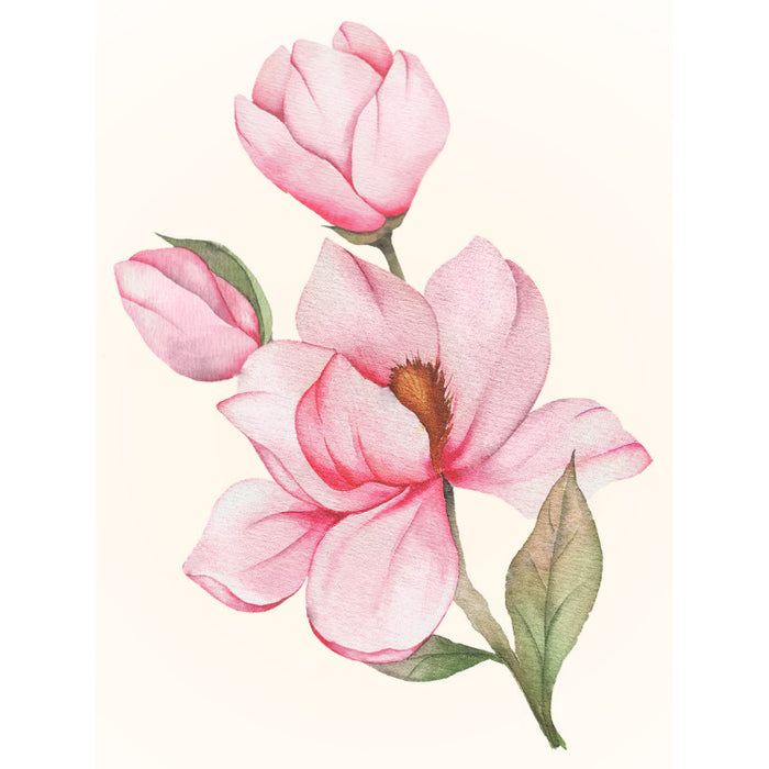 Diamond Painting Kit - MAGNOLIA BLOSSOM 30*40 WD3021