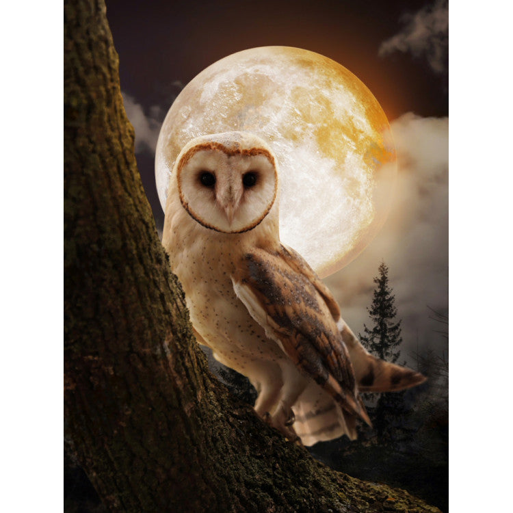 Diamond Painting Kit - MYSTERIOUS OWL 30*40 WD3066