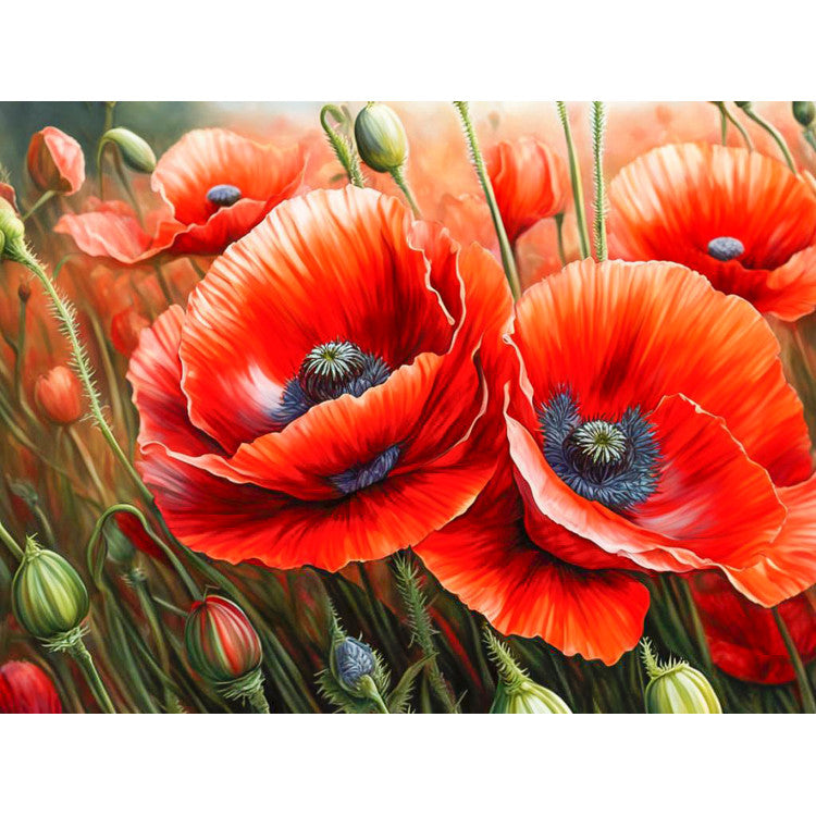 Diamond Painting Kit - "POPPIES" 40X30 CM WD3204 — HobbyJobby