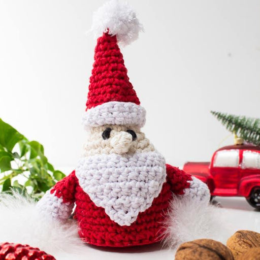 DIY Crochet Kit Santa Claus Crochet Kits - HobbyJobby