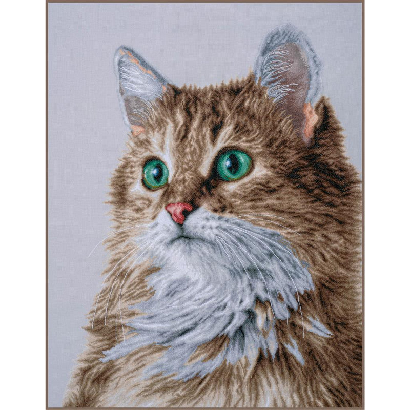 Counted Cross Stitch Kit Lanarte - The Purrfect Stare