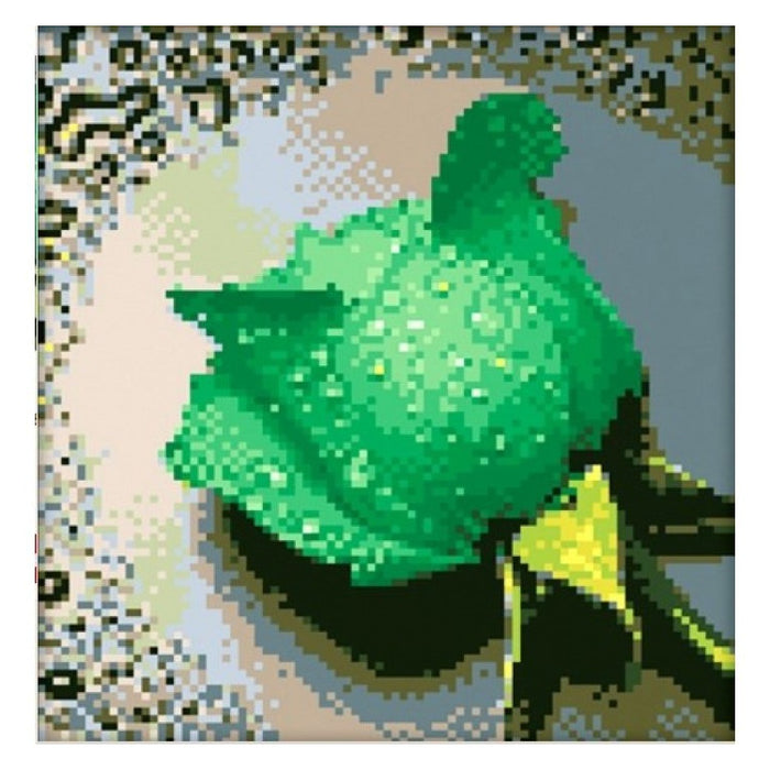 Diamond Painting Kit - GREEN ROSE 22_24 CM AZ-28