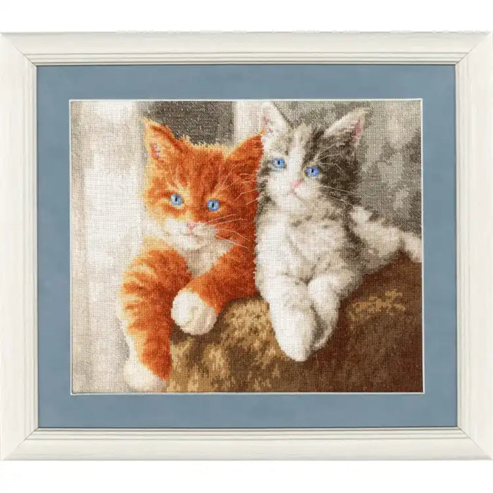 CROSS STITCH KIT - FLUFFY KITTENS S/NL047