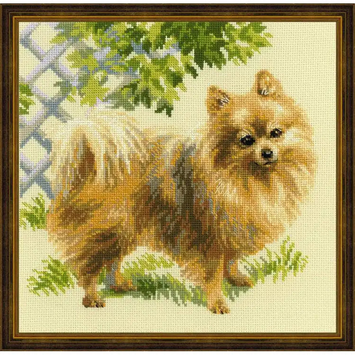 Cross Stitch Kit Riolis - POMERANIAN 1585