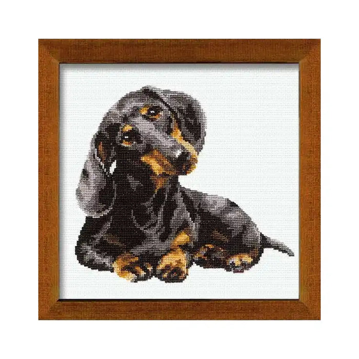 Cross Stitch Kit Riolis - DASCHOUND 906
