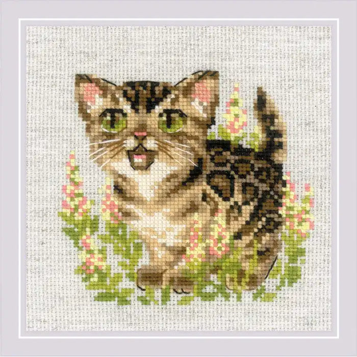 Cross Stitch Kit Riolis - BENGAL KITTEN 15X15 SR2119