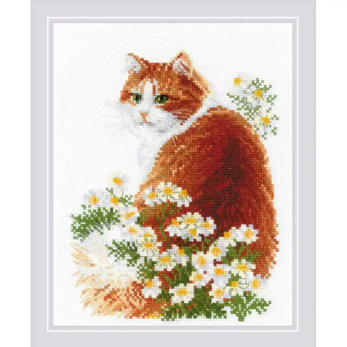Kreuzstichset Riolis – GINGER MEOW 24X30 SR2110