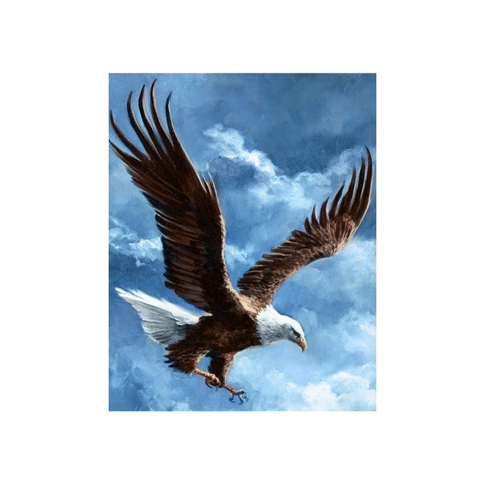 Diamond Painting Kit - SKY CONQUEROR 38*48 WD2346