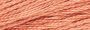 Stranded Cotton Luca-S - 407 / DMC 3778 / Anchor 1013 Stranded Cotton - HobbyJobby