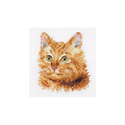 Alisa Cross Stitch Kit - Animal Portraits. Ginger Cat Alisa Cross Stitch Kits - HobbyJobby