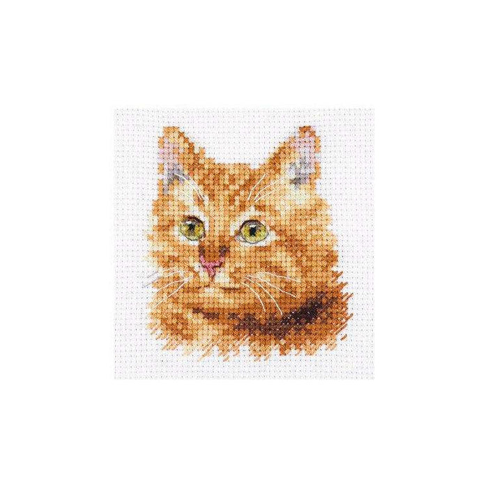 Alisa Cross Stitch Kit - Animal Portraits. Ginger Cat Alisa Cross Stitch Kits - HobbyJobby