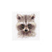 Alisa Cross Stitch Kit - Animal Portraits. Raccoon Alisa Cross Stitch Kits - HobbyJobby