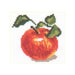 Alisa Cross Stitch Kit - Apple Alisa Cross Stitch Kits - HobbyJobby