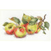 Alisa Cross Stitch Kit - Apples Alisa Cross Stitch Kits - HobbyJobby