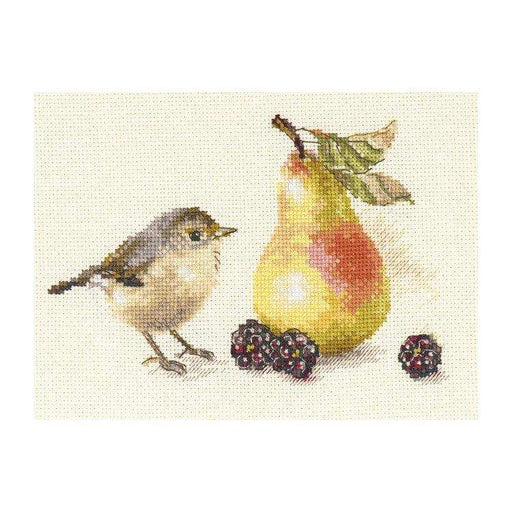 Alisa Cross Stitch Kit - Bird And A Pear Alisa Cross Stitch Kits - HobbyJobby