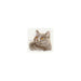 Alisa Cross Stitch Kit - British Cat Alisa Cross Stitch Kits - HobbyJobby