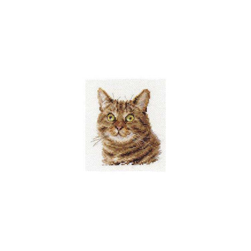Alisa Cross Stitch Kit - Cat'S Eyes Alisa Cross Stitch Kits - HobbyJobby