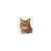 Alisa Cross Stitch Kit - Cat'S Eyes Alisa Cross Stitch Kits - HobbyJobby