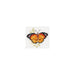 Alisa Cross Stitch Kit - Colourful Butterflies - Red Cross Stitch Kits - HobbyJobby