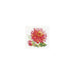 Alisa Cross Stitch Kit - Dahlia Alisa Cross Stitch Kits - HobbyJobby