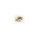 Alisa Cross Stitch Kit - Hedgehog And Strawberry Alisa Cross Stitch Kits - HobbyJobby