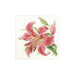 Alisa Cross Stitch Kit - Lily Alisa Cross Stitch Kits - HobbyJobby