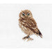 Alisa Cross Stitch Kit - Owl Cross Stitch Kits - HobbyJobby