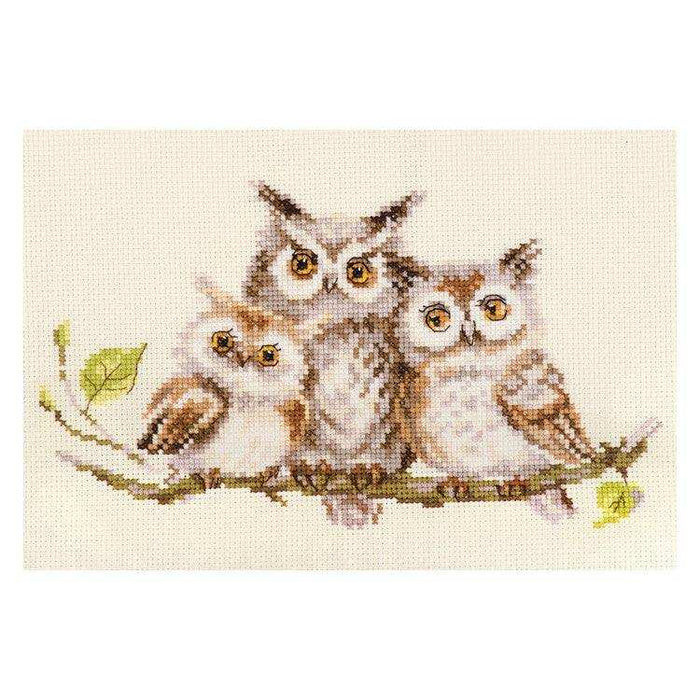 Alisa Cross Stitch Kit - Owls Alisa Cross Stitch Kits - HobbyJobby
