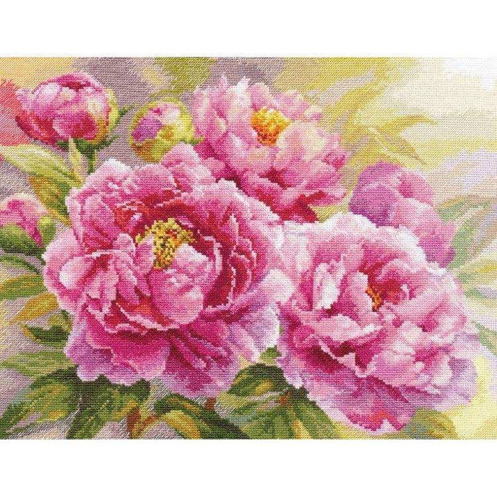 Alisa Cross Stitch Kit - Peonies Alisa Cross Stitch Kits - HobbyJobby