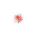 Alisa Cross Stitch Kit - Rose Tenderness Alisa Cross Stitch Kits - HobbyJobby