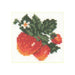 Alisa Cross Stitch Kit - Strawberry Alisa Cross Stitch Kits - HobbyJobby