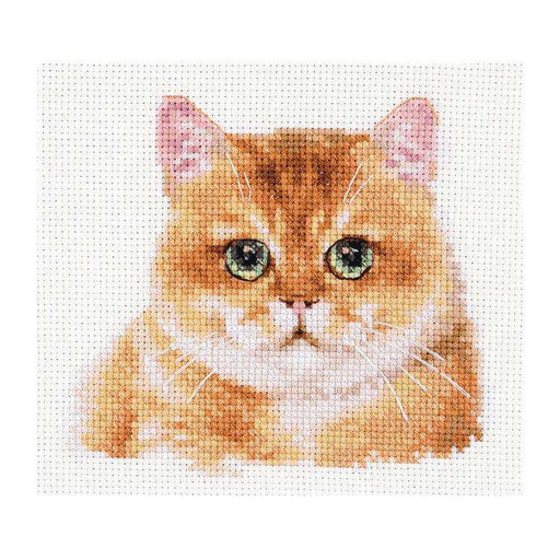 Alisa Cross Stitch Kit - "Teddy Cat" Alisa Cross Stitch Kits - HobbyJobby