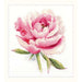 Alisa Cross Stitch Kit - Tender Peony Alisa Cross Stitch Kits - HobbyJobby
