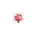 Alisa Cross Stitch Kit - The Breath Of Rose. Charm Alisa Cross Stitch Kits - HobbyJobby