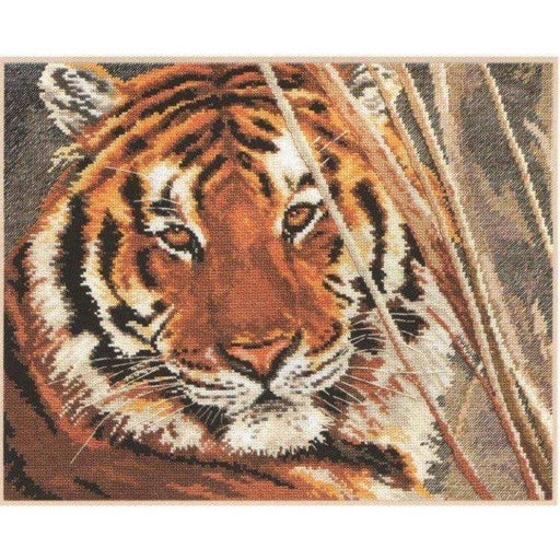 Alisa Cross Stitch Kit - Tiger Alisa Cross Stitch Kits - HobbyJobby