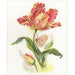 Alisa Cross Stitch Kit - Tulip And Butterfly Alisa Cross Stitch Kits - HobbyJobby