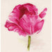 Alisa Cross Stitch Kit - Tulips. Crimson Glow Alisa Cross Stitch Kits - HobbyJobby