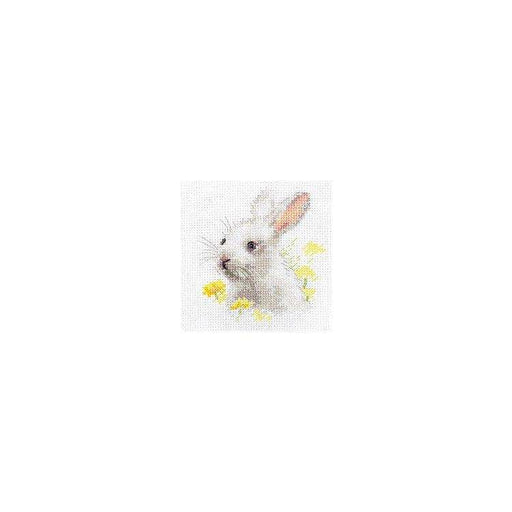 Alisa Cross Stitch Kit - White Bunny Alisa Cross Stitch Kits - HobbyJobby