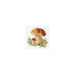 Alisa Cross Stitch Kit - White Mushrooms Alisa Cross Stitch Kits - HobbyJobby