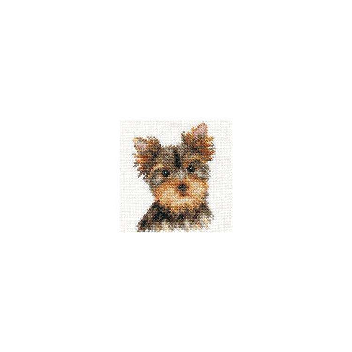 Alisa Cross Stitch Kit - York Alisa Cross Stitch Kits - HobbyJobby