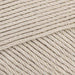 champagne 248 Scheepjes_Yarn - HobbyJobby
