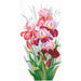 Cross Stitch Kit Andriana - Triumph of Irises, T-14 Andriana Cross Stitch Kits - HobbyJobby