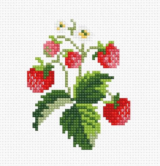 Cross Stitch Kit for Beginners - Kids Embroidery Kit B028