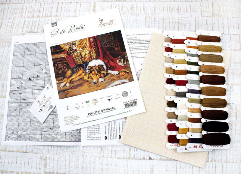 Cross Stitch Kit Luca-S - A Reluctant Companion, B585 - Luca-S