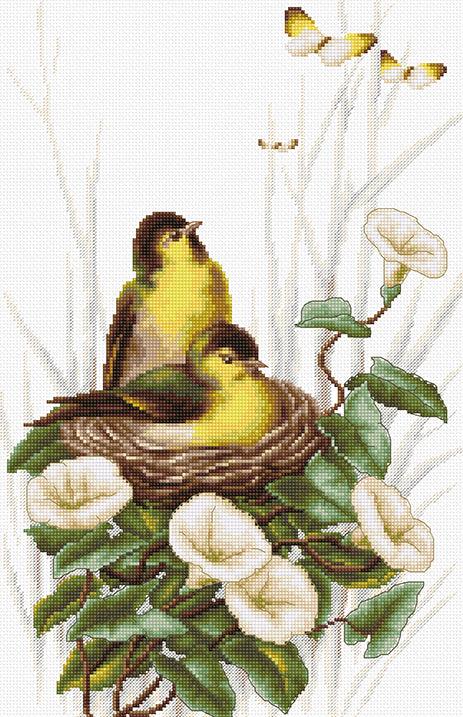 Cross Stitch Kit Luca-S - B2240, Birds in the nest - HobbyJobby