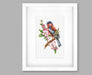 Cross Stitch Kit Luca-S - Chaffinch Bird, B1196 Cross Stitch Kits - HobbyJobby