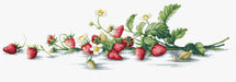 Cross Stitch Kit Luca-S - Etude with Strawberries, B2266 - Luca-S