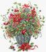 Cross Stitch Kit Luca-S Gold - December Bouquet - HobbyJobby