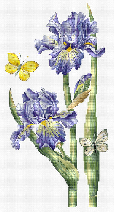 Cross Stitch Kit Luca-S Gold - May Iris - HobbyJobby